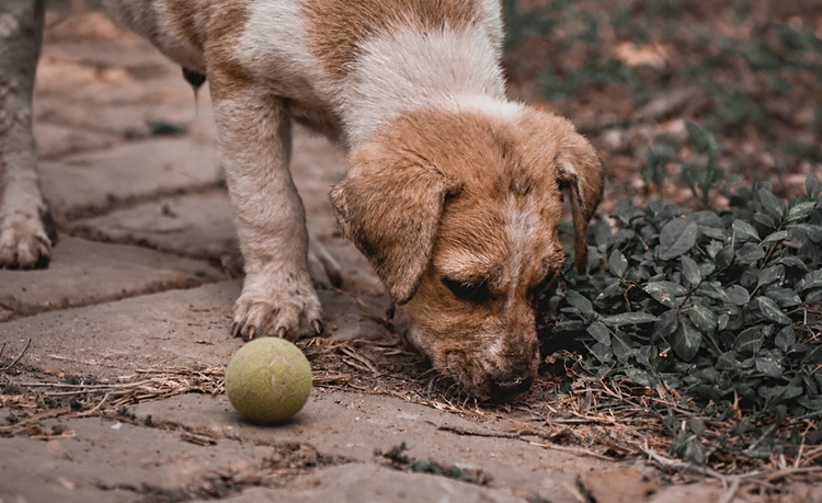 이런 변화가 보이면 확인이 필요합니다 : 눈앞의 물건을 바로 찾지 못함